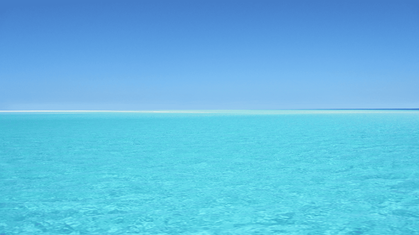 Coral seekers coral seekers | home » 30 november 2015