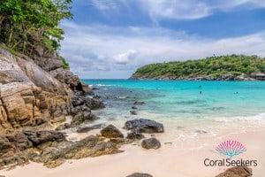 Coral seekers private speedboat tours » 2 january 2016