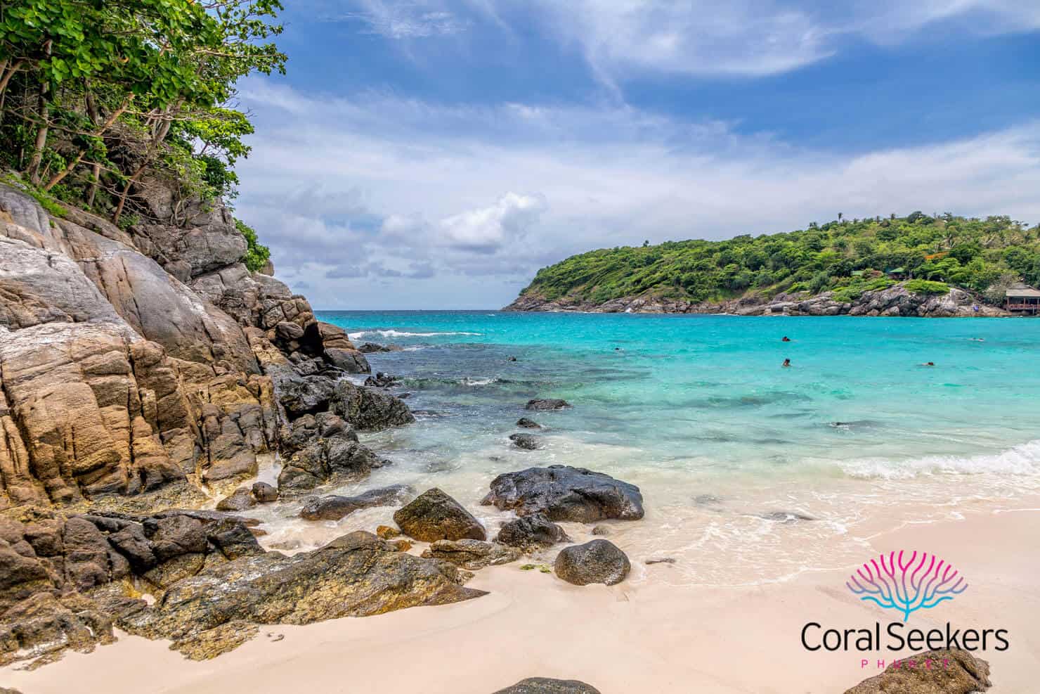 Coral seekers private speedboat tours &raquo; 2 january 2016