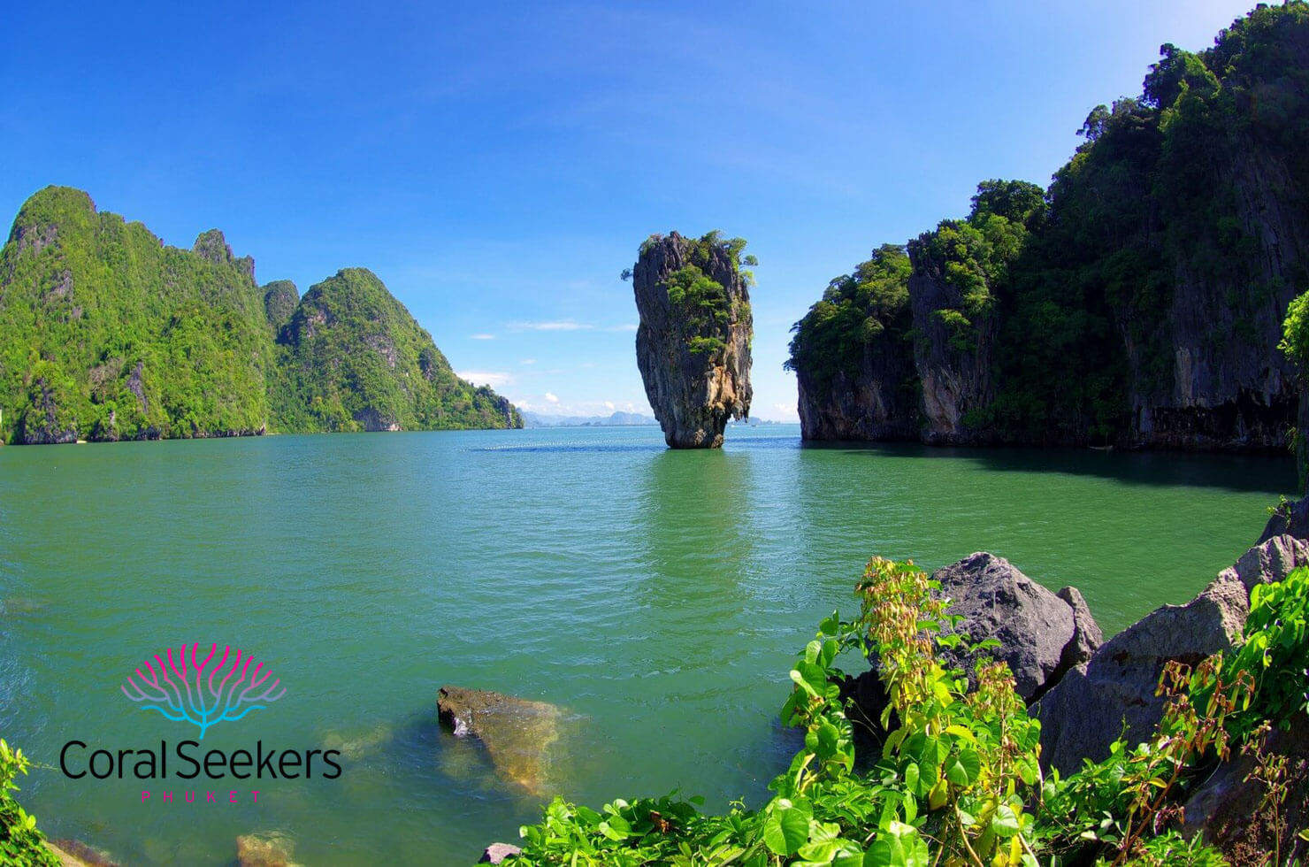 Coral seekers private speedboat tours &raquo; 2 january 2016