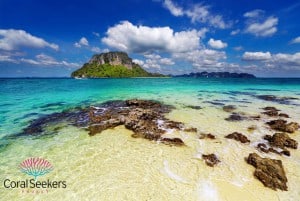 Coral seekers popular island destinations » 6 june 2025