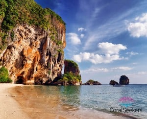 Coral seekers private speedboat tours » 2 january 2016