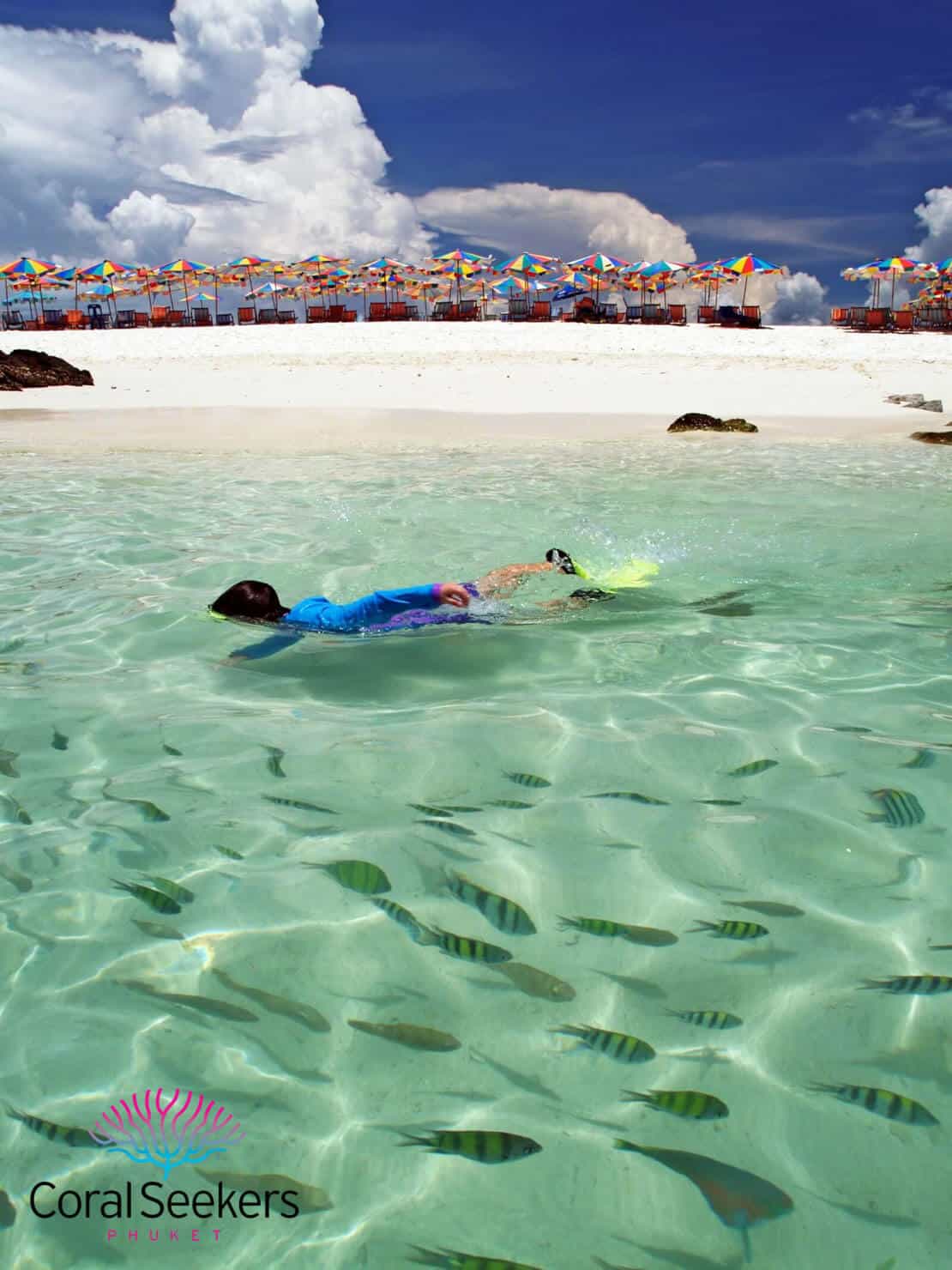 Coral seekers private speedboat tours &raquo; 2 january 2016