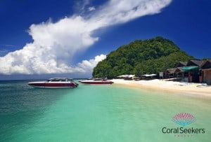 Coral seekers popular island destinations » 6 june 2025