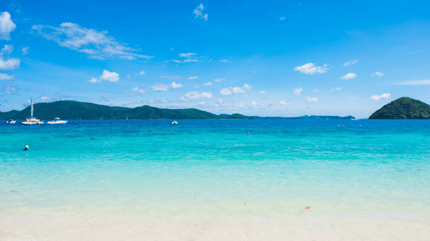Coral seekers coral seekers | home » 30 november 2015