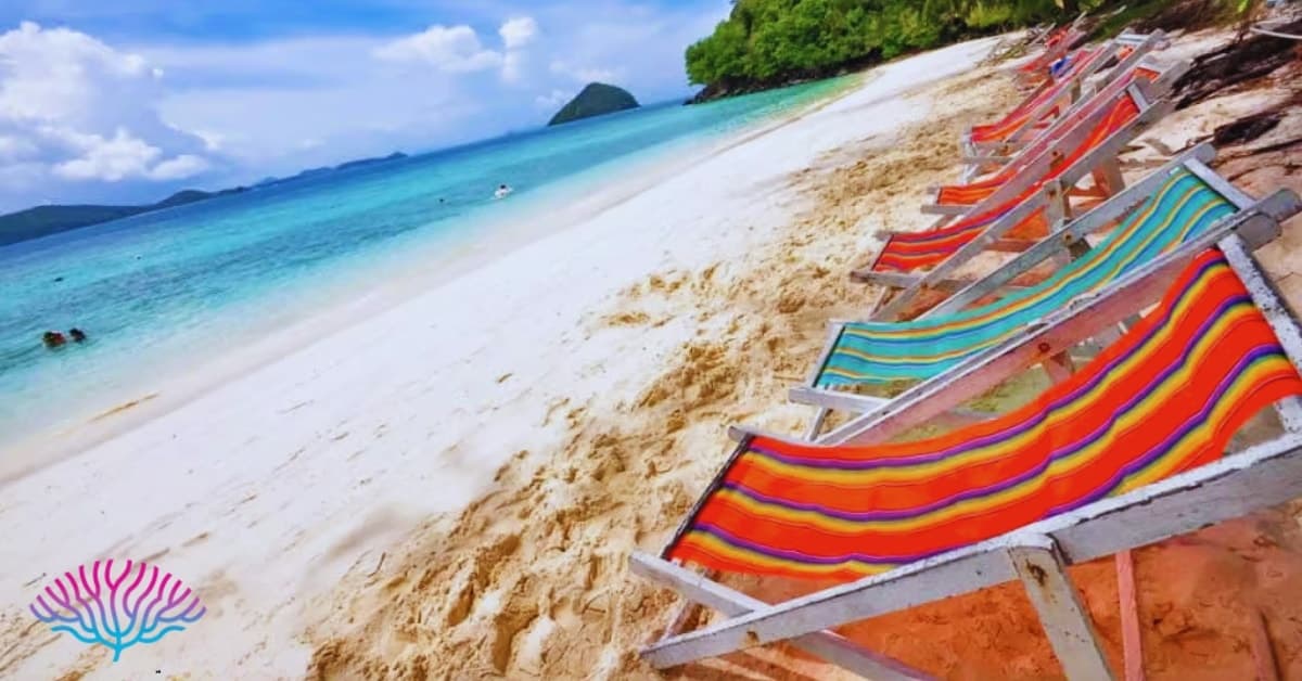 Discover phuket and the surrounding andaman sea islands with coral seekers