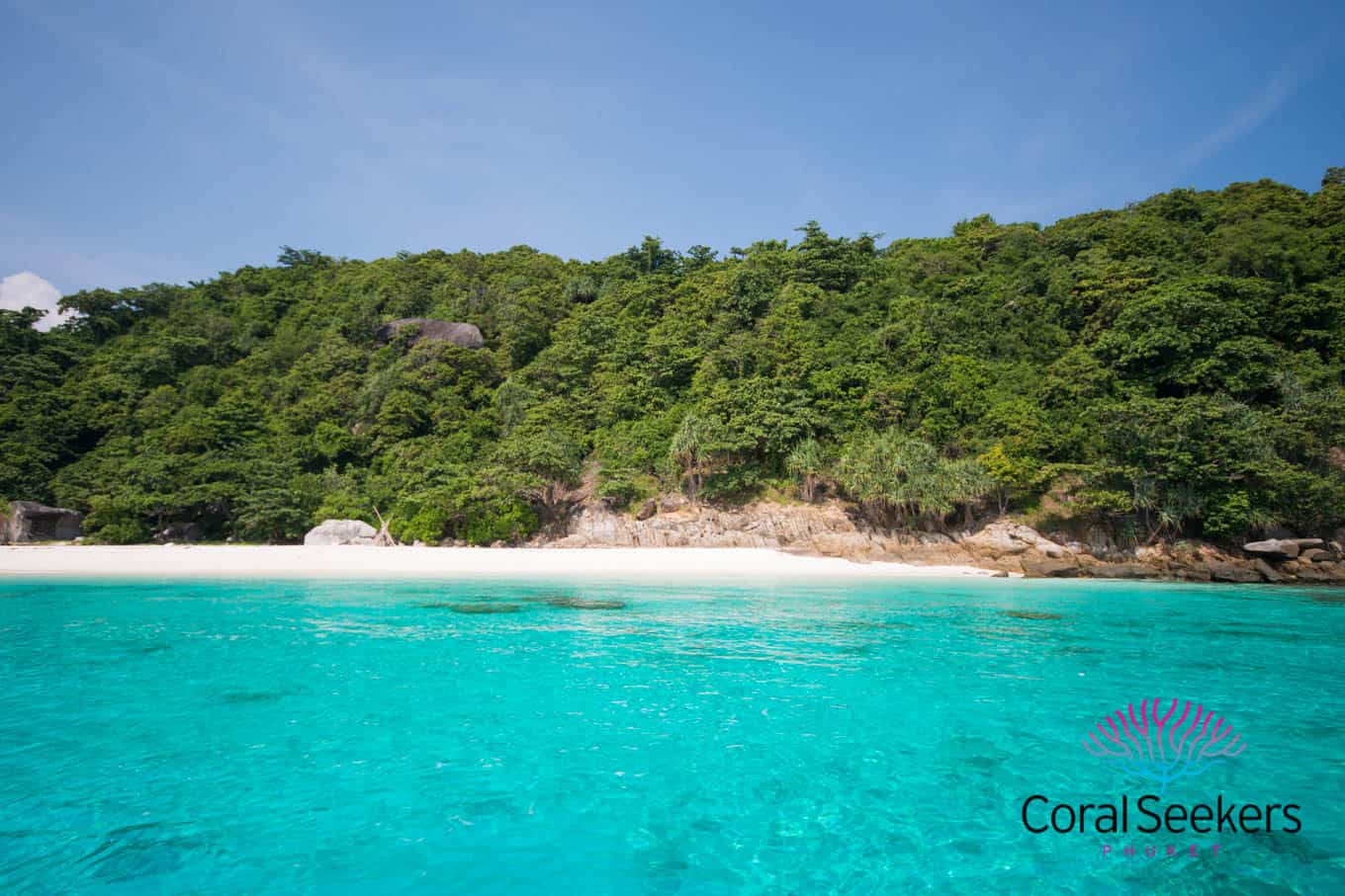 Destinations » https://www.coralseekers.com