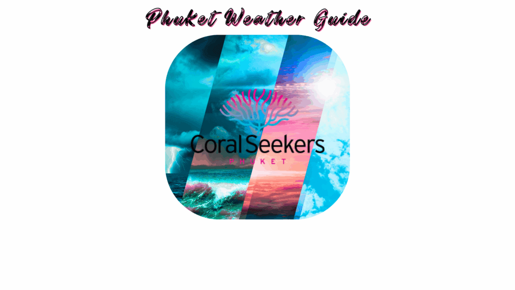 Best Time to Visit: Phuket Weather Guide & Live Updates Coral seekers best time to visit: phuket weather guide & live updates » 8 june 2025