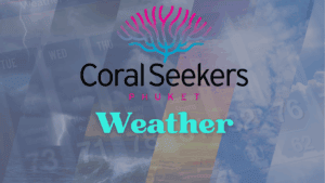 Coral Seekers | Home Coral seekers coral seekers | home » 30 november 2015