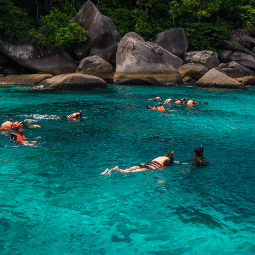The breathtaking similan island tour 2023 » https://www. Coralseekers. Com