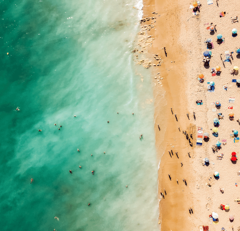 Coral seekers planning a stunning beach wedding -things to know 2024 » 6 august 2023