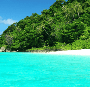 Coral island phuket tour clear water