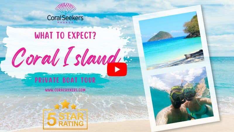 coral island tours Coral island video thumbnail