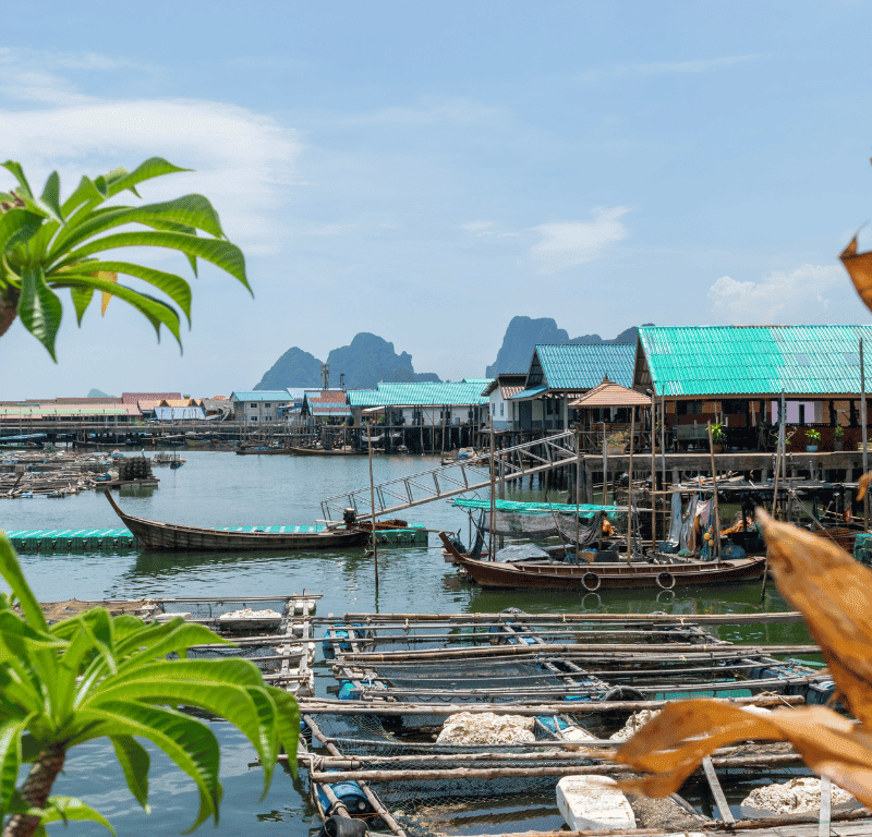 Lush plant life in floating village