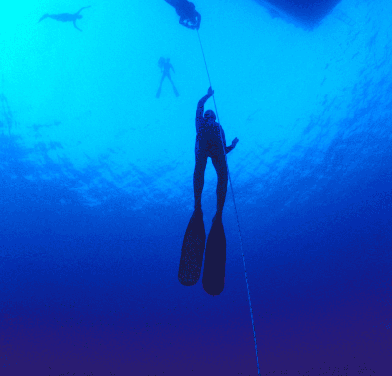 Coral seekers freediving phuket » 6 september 2023