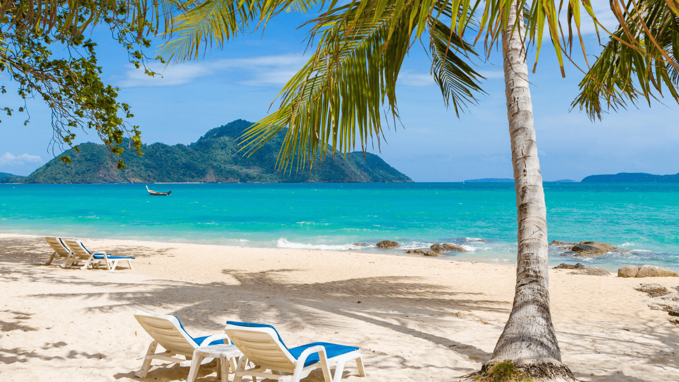 Beautiful palm trees and clear waters