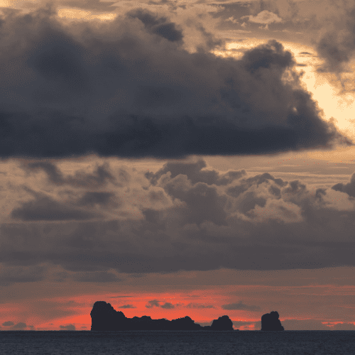 The Remarkable Koh Haa Island Tour 2023 Coral seekers the remarkable koh haa island tour 2023 » 23 may 2023