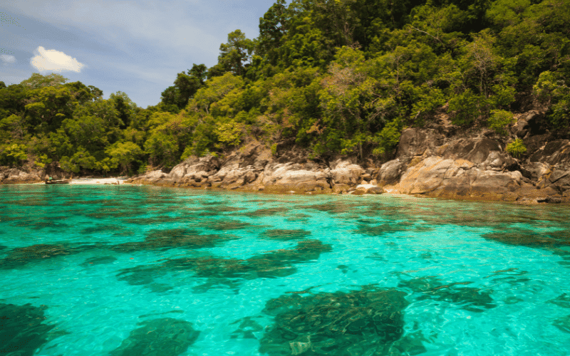 The scenic koh lipe phuket tour 2023 » https://www. Coralseekers. Com