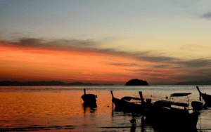 Coral seekers amazing phuket blog & news 2024 » 4 may 2023