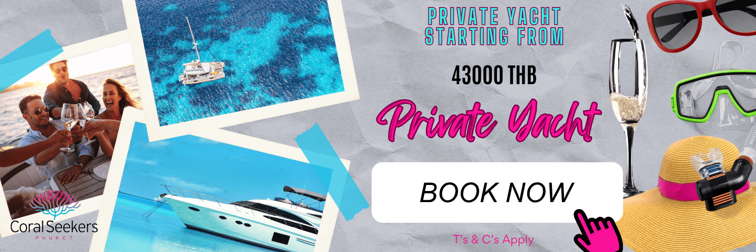 Yacht booking banner