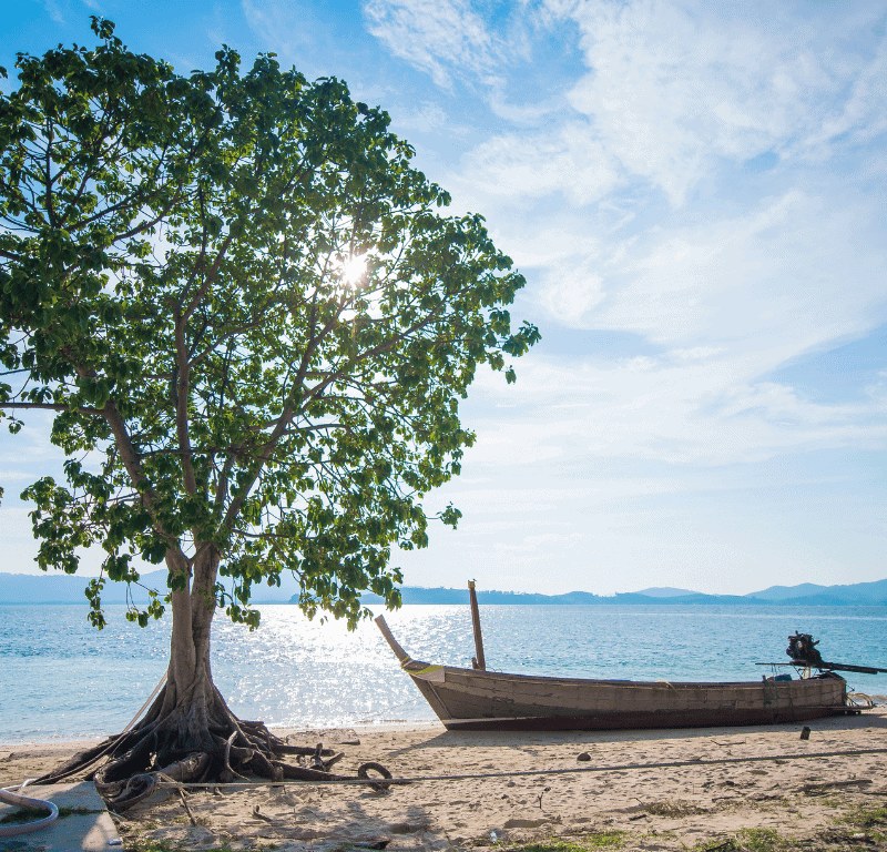 The enchanting naka noi island tour 2023 » https://www. Coralseekers. Com