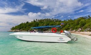 Different types of speedboats available for charter in Phuket.