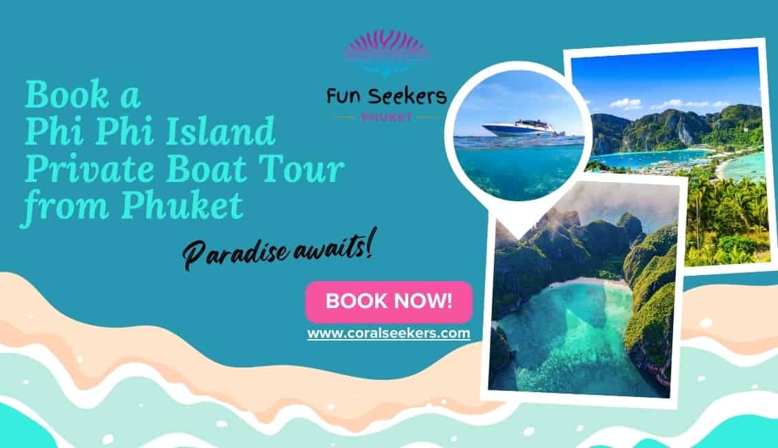 Phi Phi Island Private Boat Tour From Phuket