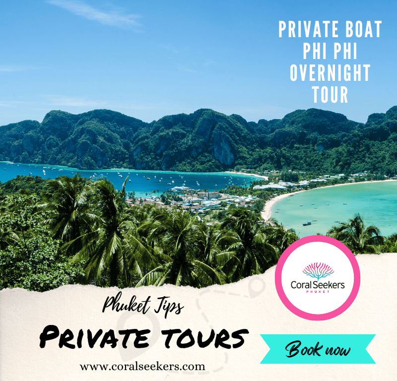 Phi phi overnight tour guide