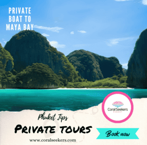 Private Boat To Maya Bay