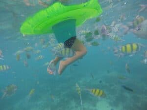coral island tours Coral island