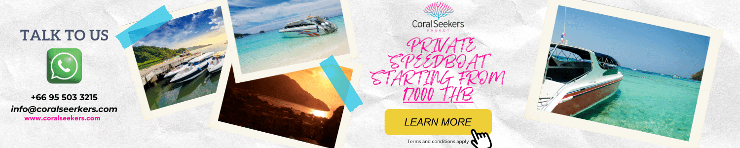 Destinations » https://www.coralseekers.com