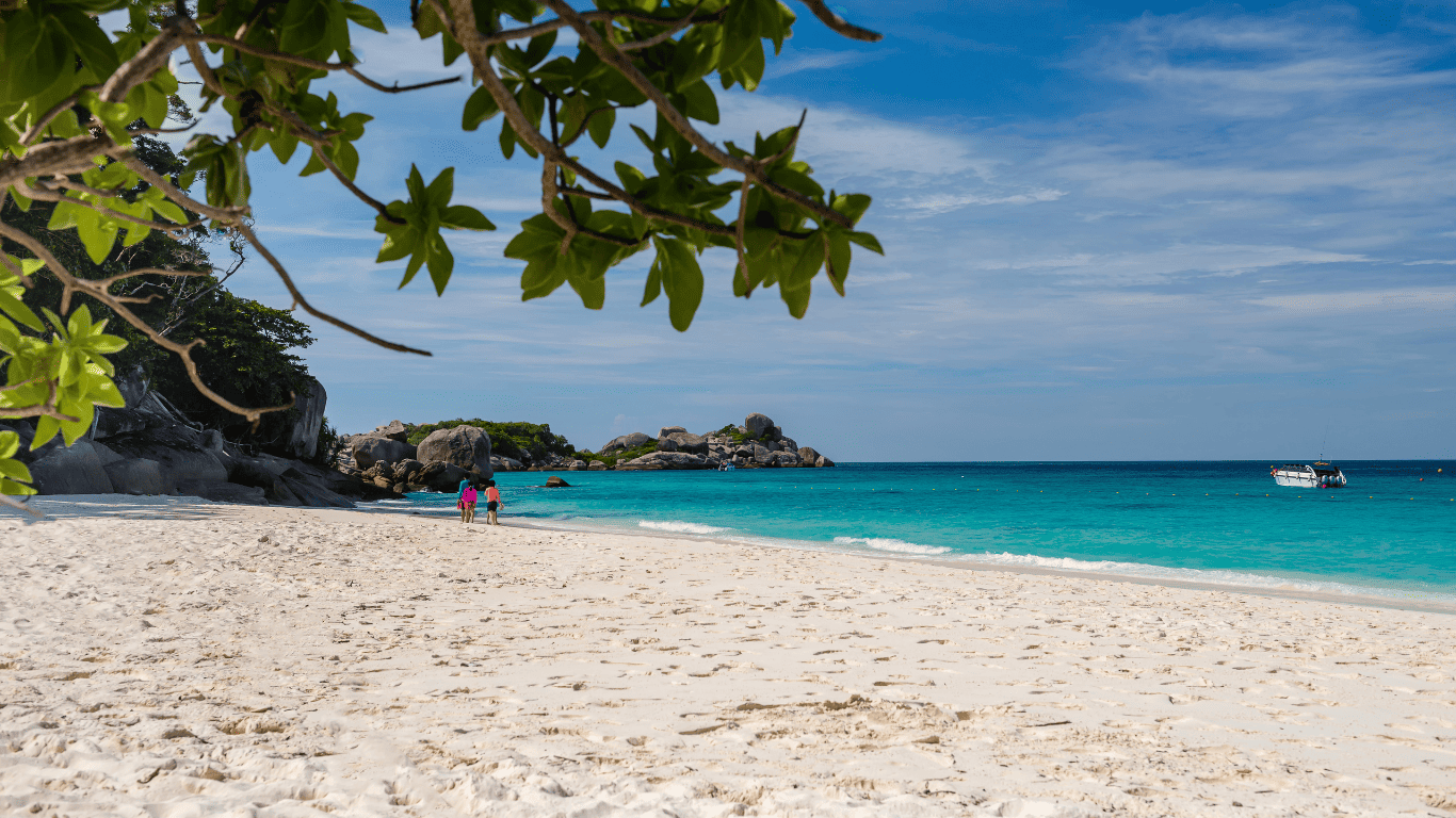 Coral seekers coral seekers | home » 30 november 2015