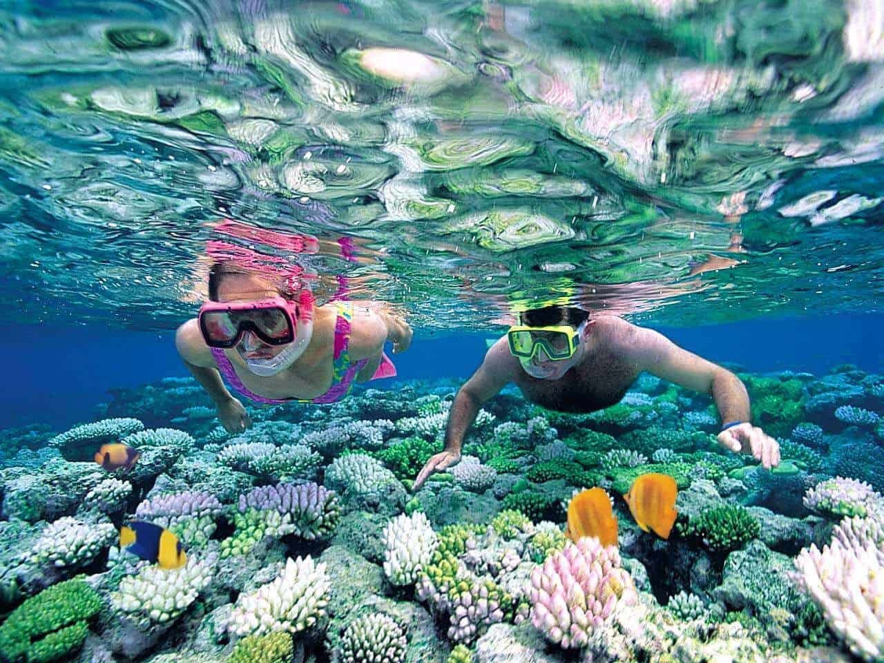 Snorkeling couple over corals